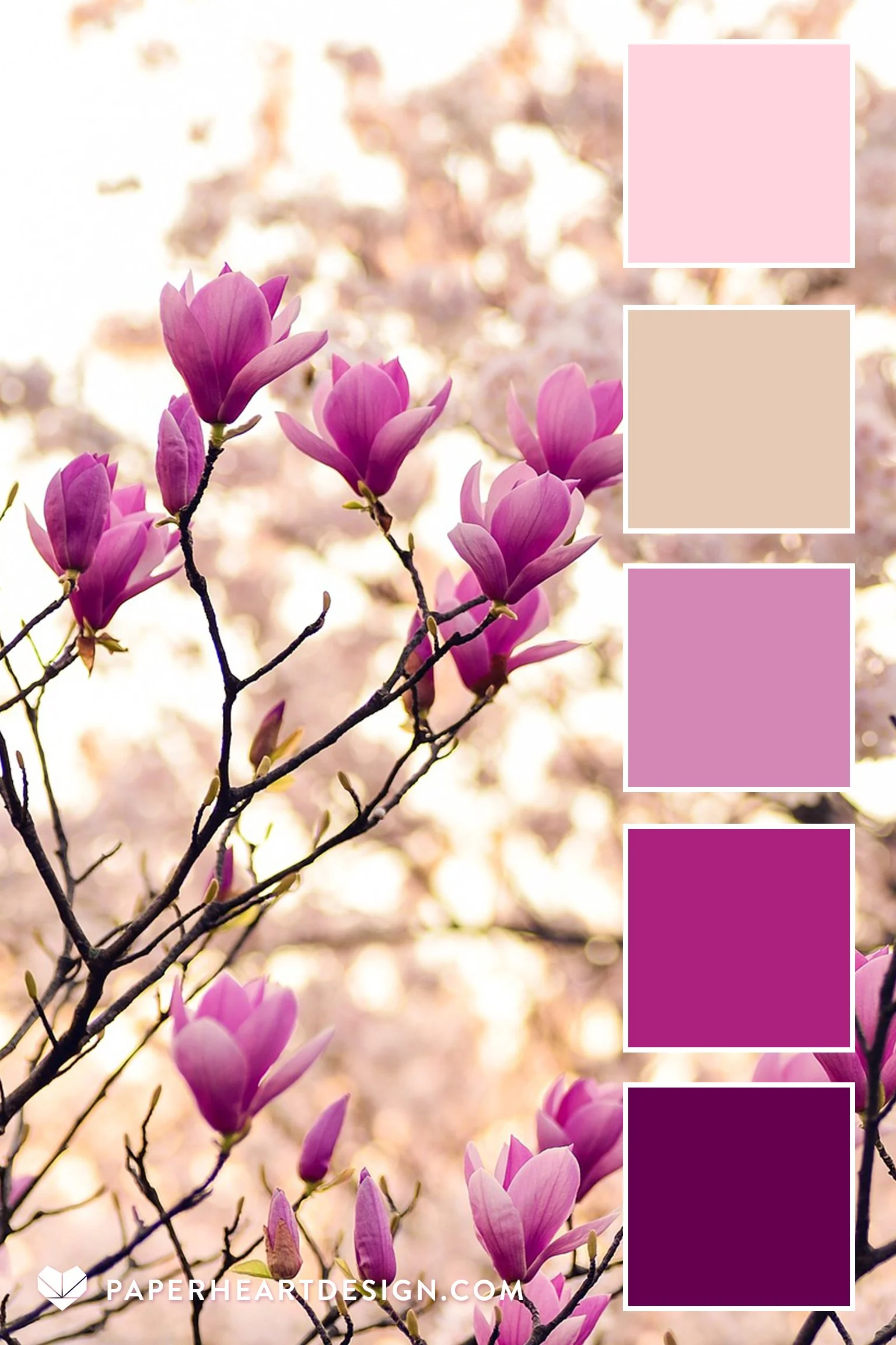 Color Palette: Spring Sweetness — Paper Heart Design Co.